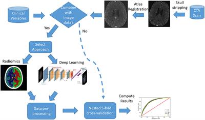 Combination of Radiological and Clinical Baseline Data for Outcome Prediction of Patients With an Acute Ischemic Stroke